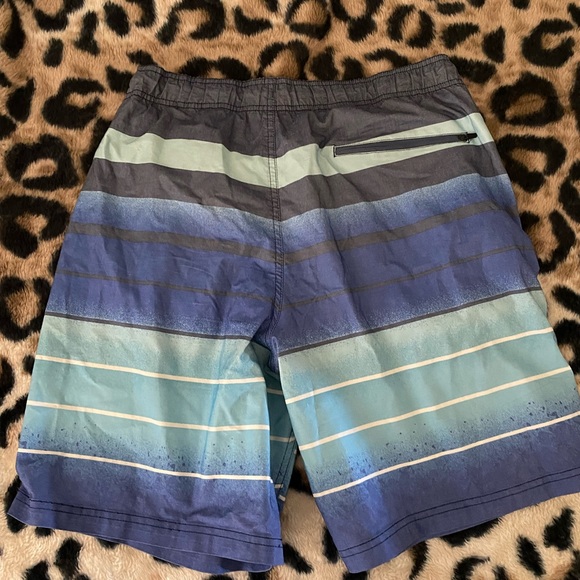 Men’s Blue and Gray Swim Trunks Shorts Bathing Suit Size L Large 🏝 - Picture 4 of 7
